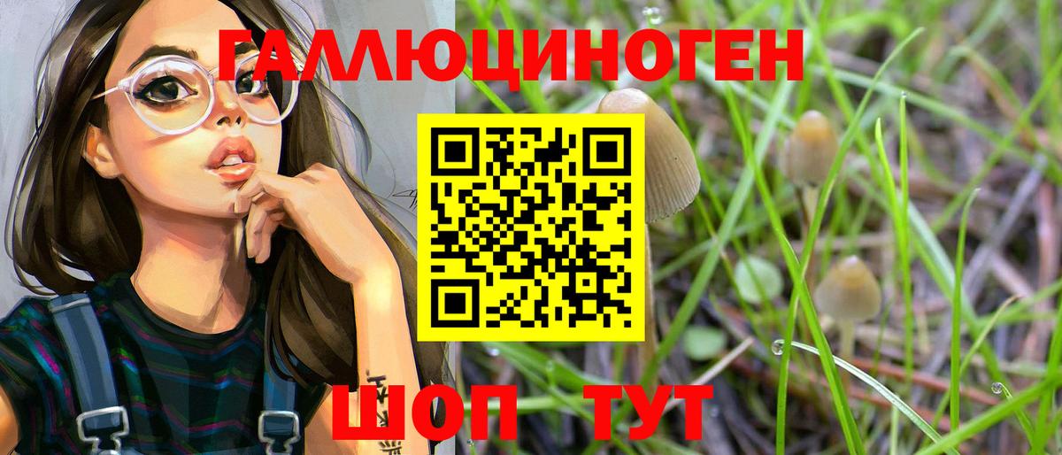 Галлюциногенные грибы Psilocybine cubensis Усинск