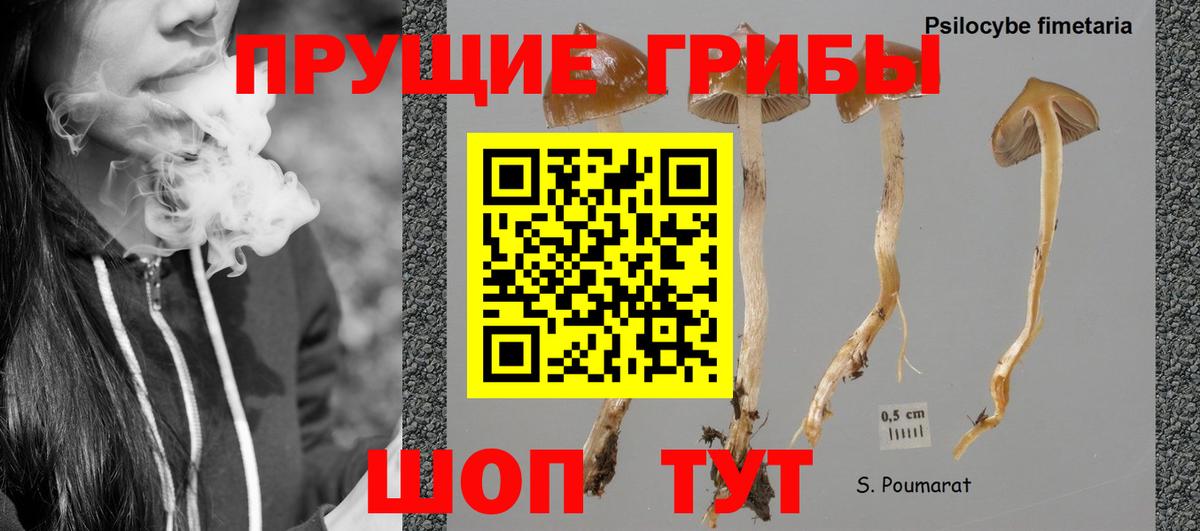Усинск  Псилоцибиновые грибы Cubensis  Вход с VPN 